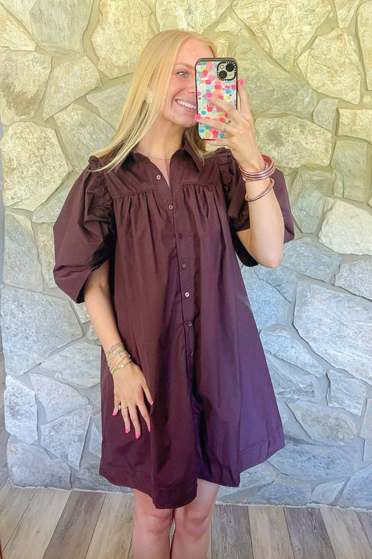 Brown Puff Sleeve Dress